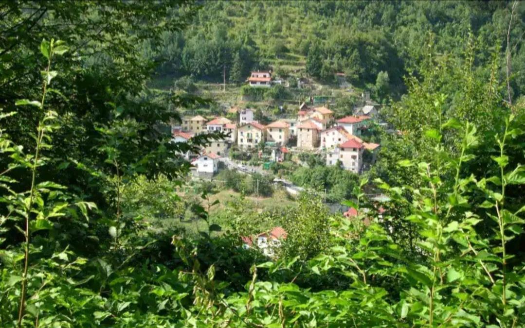 Il Non Ti Scordar Di Me Villa Valbravenna Eksteriør billede