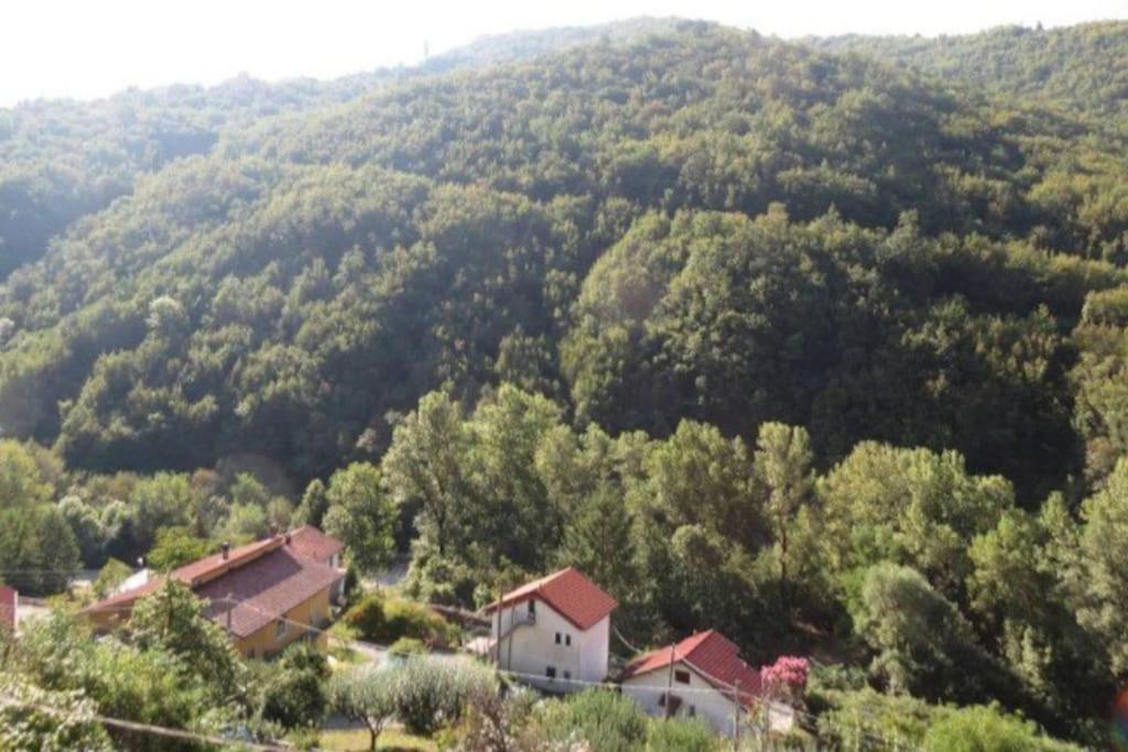 Il Non Ti Scordar Di Me Villa Valbravenna Eksteriør billede
